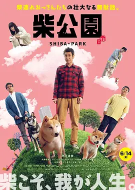 电视剧北风那个吹免费观看全集完整版